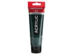 Amsterdam Acrylic Paint - 623 Sap Green